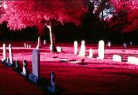 Color Infrared - Cemetary